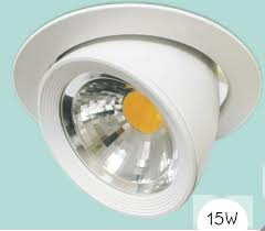 LED gimbal downlight  15W
